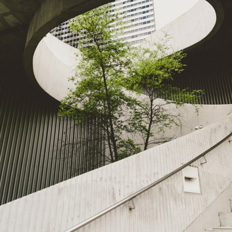 escalier et arbre